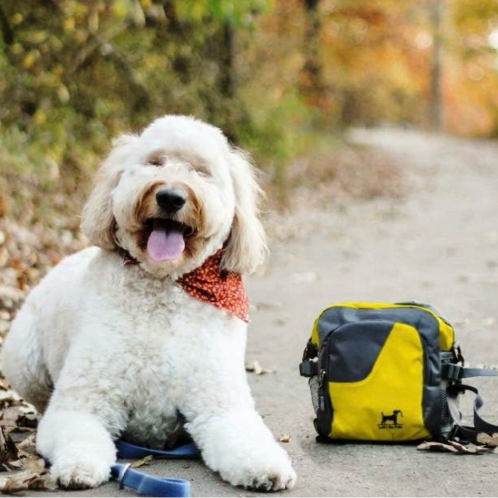 Let’s Go Fido Dog Walking Pet Parent Bag